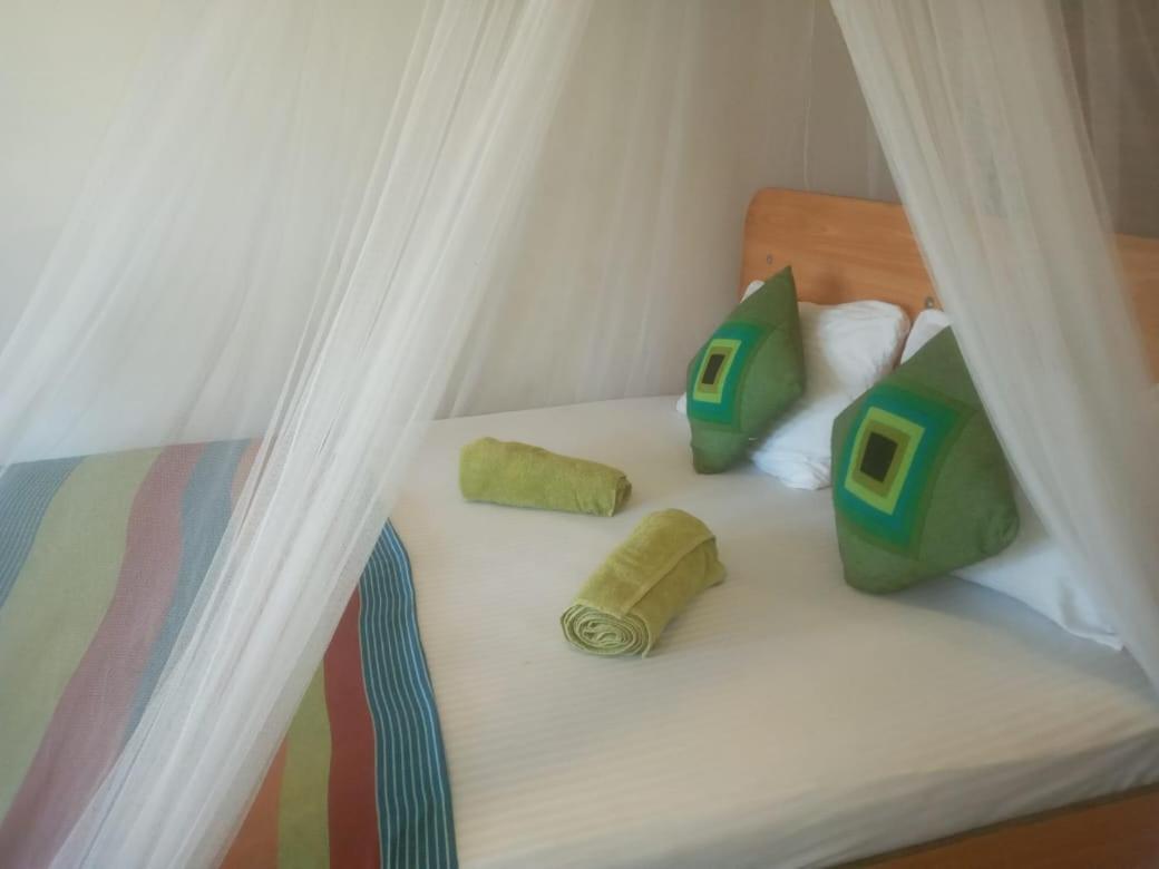 Talblick Homestay Элла Экстерьер фото